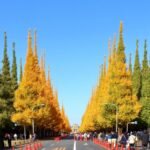 A Week in Autumn 2026